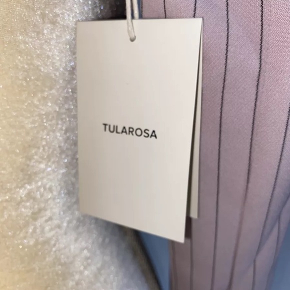 Tularosa  Pink Pinstripe Blazer Jacket NWT - Picture 6 of 9